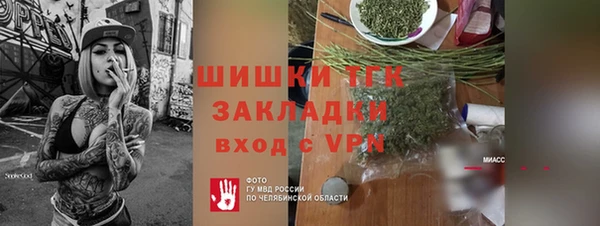 ECSTASY Ельня