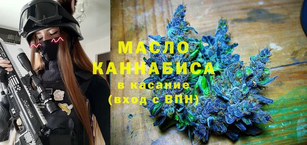 ECSTASY Ельня
