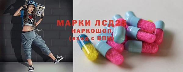 ПСИЛОЦИБИНОВЫЕ ГРИБЫ Елабуга