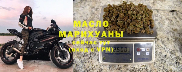 ECSTASY Ельня