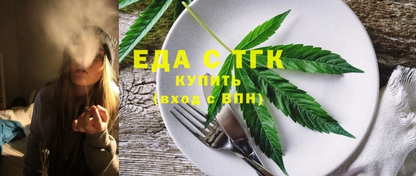 ECSTASY Ельня