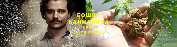 ПСИЛОЦИБИНОВЫЕ ГРИБЫ Елабуга