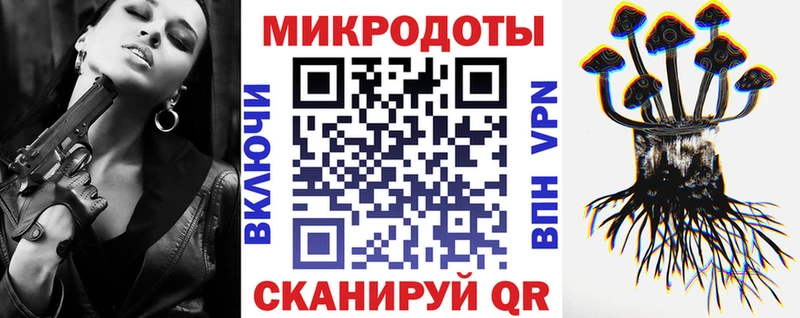 Купить закладки  Юрьевец  Галлюциногенные грибы MAGIC MUSHROOMS 